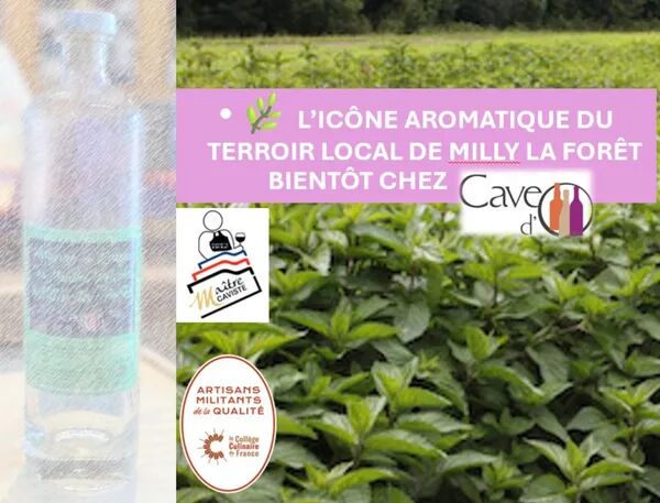 Bientot chez cave do