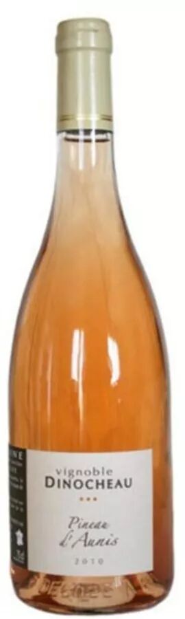 PINEAU D'AUNIS ROSE - VIGNOBLE DINOCHEAU 2020 0,75L