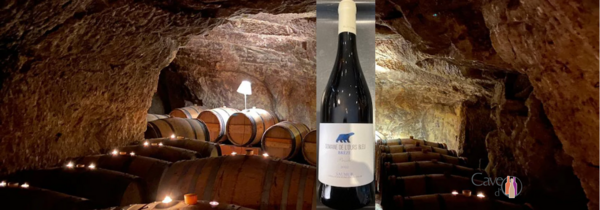 Toujours magnifique Saumur blanc 2022